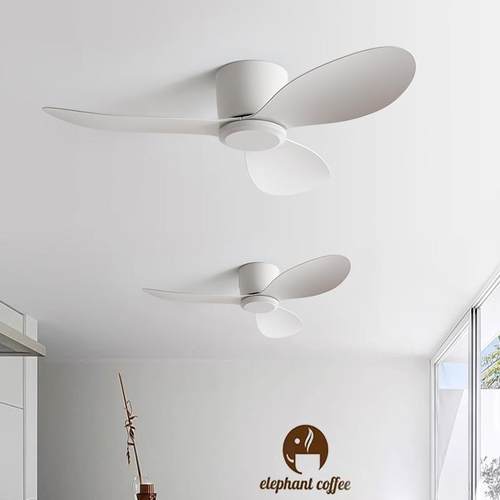 风力复古低吊扇餐大厅客厅家用简约无电灯风扇商用楼层吸顶OSR风