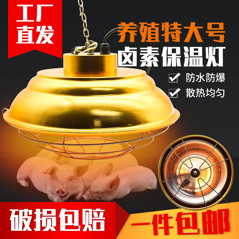 保温灯泡养殖场专用卤素保温灯猪用仔猪育雏鸡节能灯可调温带灯罩