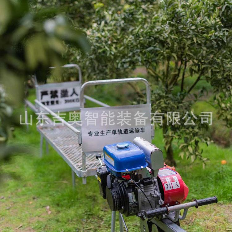 安全用果园单轨运输车坡山地农爬轨道车ZDD齿运条搬机