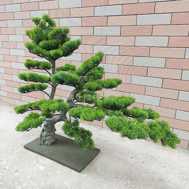 性松室树厂家仿真异罗汉松内装饰摆放小树美窗人松橱盆景LB-C054