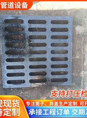 重球墨铸铁雨水口型篦铁篦单子5铸00*500*18640雨水篦子盖板