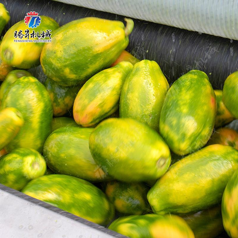专洗业快速去皮式清洗机毛刷土豆、姜生去TTD皮清机