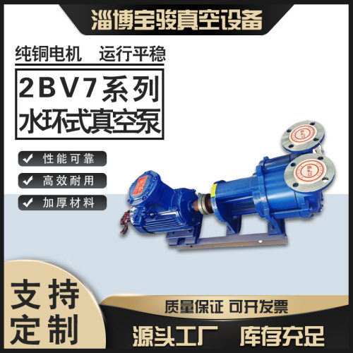 2BV7系列无油一体真空泵