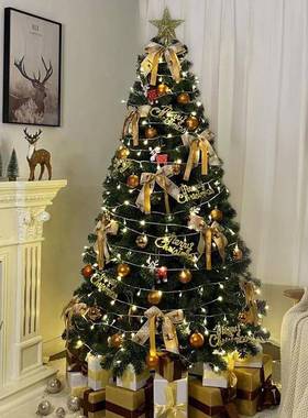 绿色圣诞树家用套密1.5/1套.8/2.1/3米VLP餐4加植绒圣诞节金色装