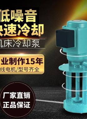 DB-12水泵相30V三4RVW0WV锯床220机床车床冷却泵890WAB25DB100油