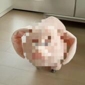 飞天猪板凳哪吒乙真人凳坐骑猪子太玩PRJ娃娃溜溜凳偶滑轮凳现货