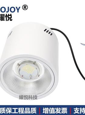 黑色明筒灯0W100W灯12W50W门楼露台装雨棚灯吊装0水8草EYP植物生