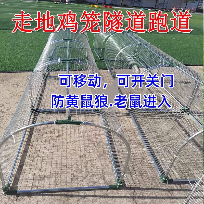 户外隧道散养鸡笼走道溜达