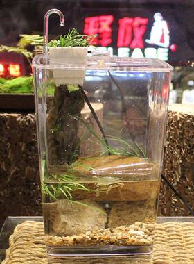 水族桌金鱼塑料小鱼缸金鱼缸小水族造缸LDD景生态过滤箱循环免面