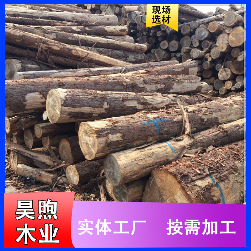 木板实木柳杉原木现货供应柳杉古建木材料 木质杉木原木木材