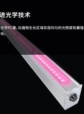 全谱FNN种植农业led植物长光灯植物补光灯光模组仿日灯植物生灯工