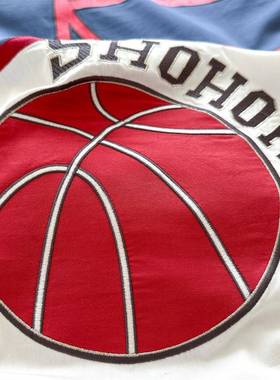 青春风男孩篮球刺绣寝洗具单双人床品学生全水棉三件86260四棉套