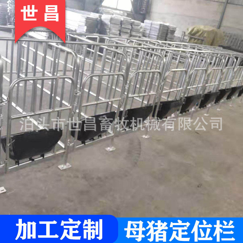母猪定位栏 限位栏 母猪育肥栏 母猪设备 定位栏养殖设备