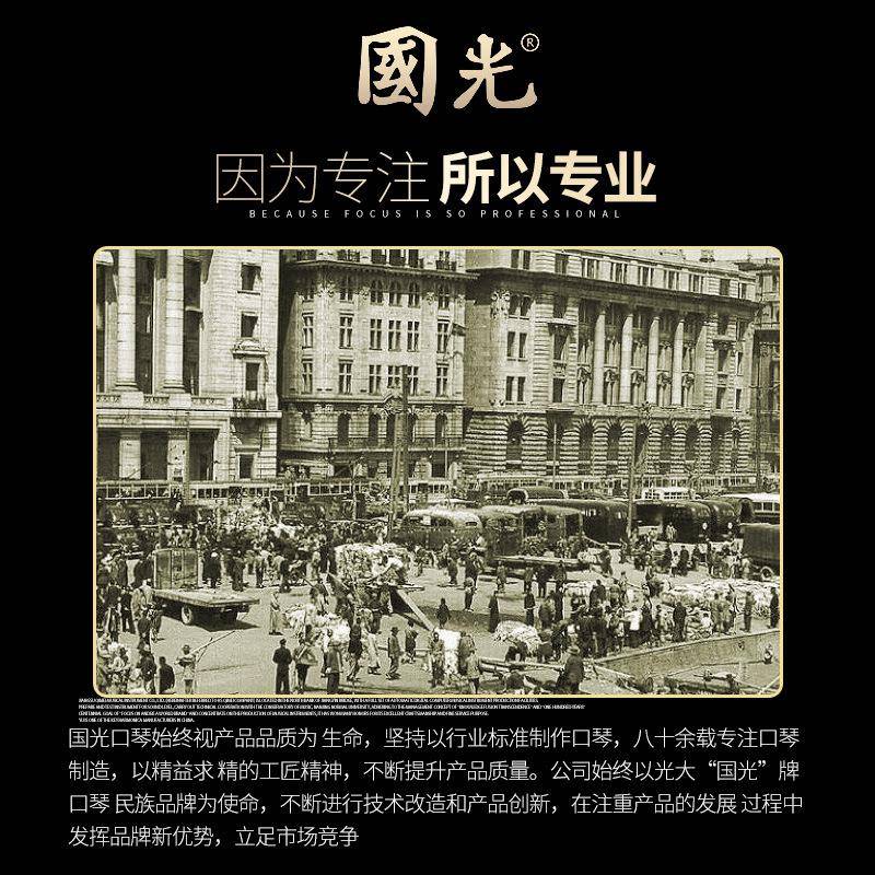 国光国生之梦人24孔者口琴复音C调初488学学儿童成入门专业演奏