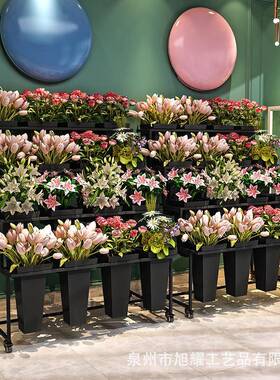 多室内阳台梯形置物架铁艺花店花落架层多肉花盆阶梯式地AL-56565