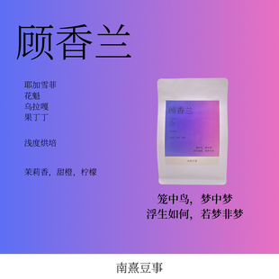 顾香兰｜耶加雪菲花魁乌拉嘎果丁丁浅烘茉莉花甜橙柠檬风味咖啡豆