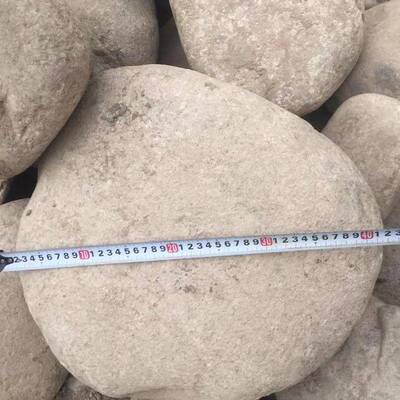 河滩石888污水处理工程铺路水池花垫底变压器石子石鹅卵石头雨石