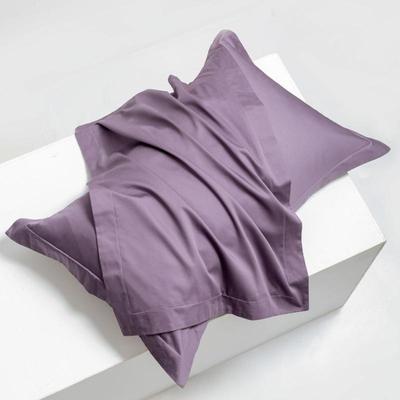 类100支全棉枕头长绒棉枕套纯棉家用纯色全头棉枕A套夏枕芯内胆套