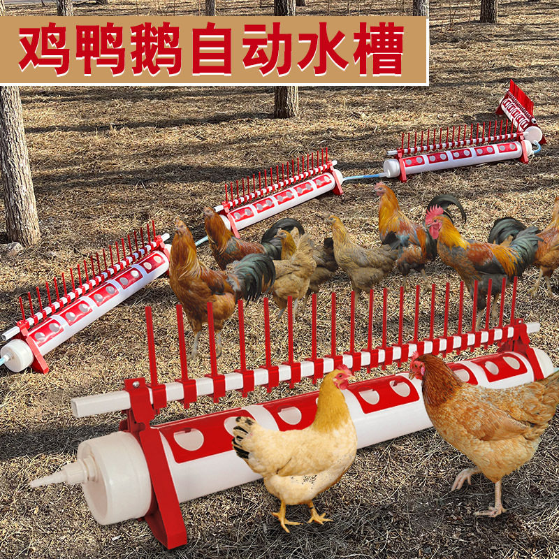 家禽养殖自动喂水槽饮水器