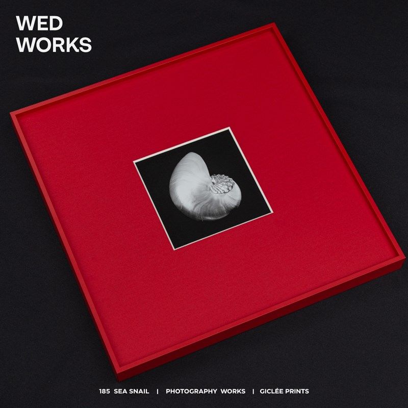 黑白艺术摄影红色框包豪斯中古风装饰画 卧室玄关客厅好寓意挂画,家居饰品,现代装饰画,淘宝优惠券,粉丝福利购,淘宝优惠卷