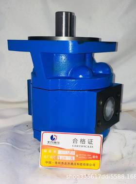 供应CBYP1040-1FR-20齿轮泵使用寿命长钻机液压泵