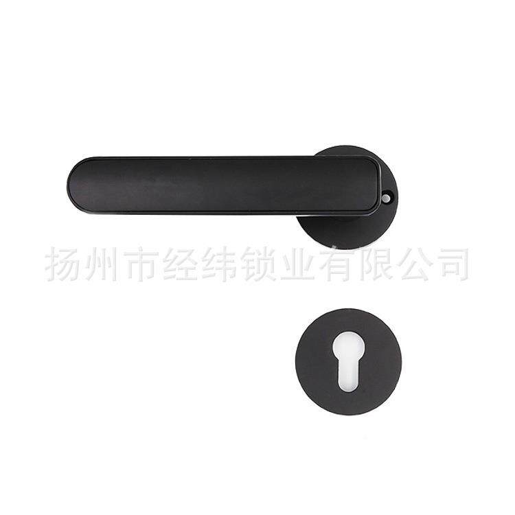 智锁能体把手带密码锁CDS指纹锁钥匙智能分家居门锁智能锁