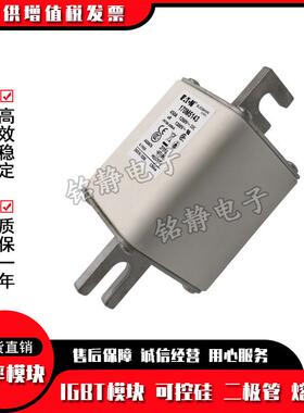 17M5916670M596701970M5968DVW170M596巴斯曼熔断器现货170M5970