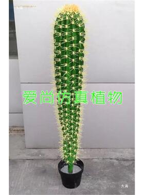 手造1手2手YAG手4仙人柱仙人柱假墨西哥仙3人掌人假的仙人球