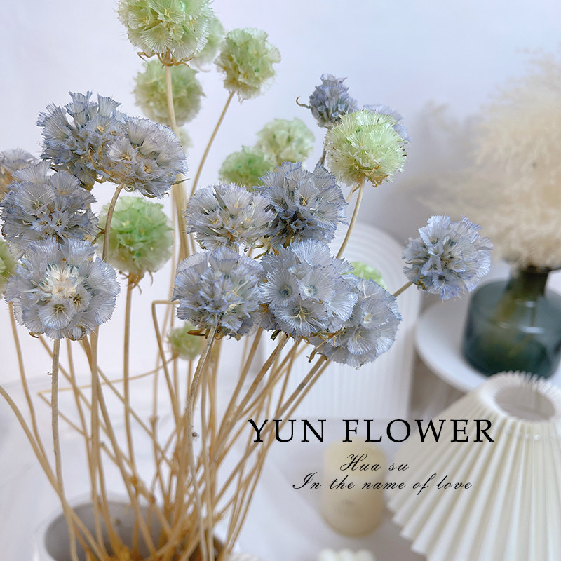 永生花风车果真花diy手工花材松虫果客厅咖啡厅民宿装饰摆设插花,鲜花速递/花卉仿真/绿植园艺,永生花,淘宝优惠券,粉丝福利购,淘宝优惠卷