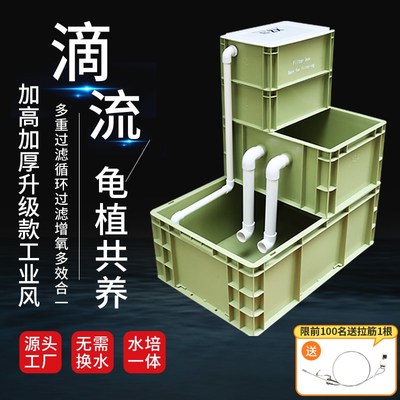 雄泽水族家用水培生态周转箱过滤专用龟鱼混养缸沼泽过滤器免换水