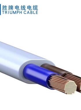 DE认证DMM电源线H03VV2-F扁2芯0.5平方300VHPVVC线胜牌直销