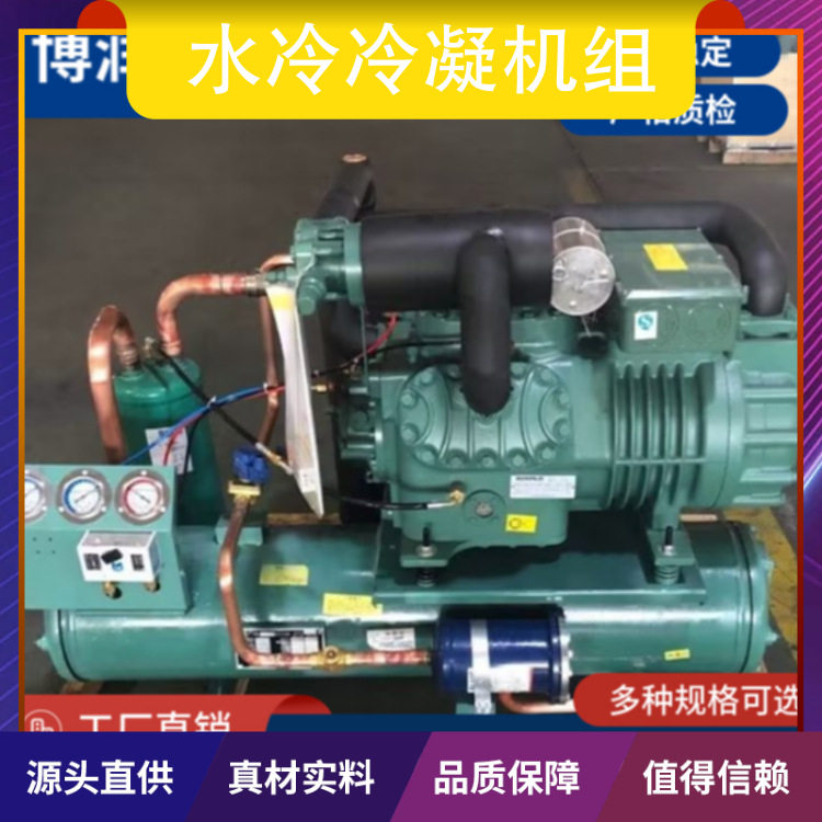 博润制冷水冷冷凝机组冷库制冷机冷藏库压缩机保修一年 性价比高