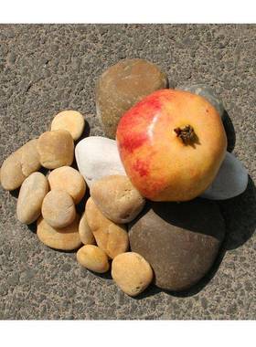 摩按灰色天雨花石鱼然造SFP景彩色小砾缸石多肉植物铺面鹅卵石水