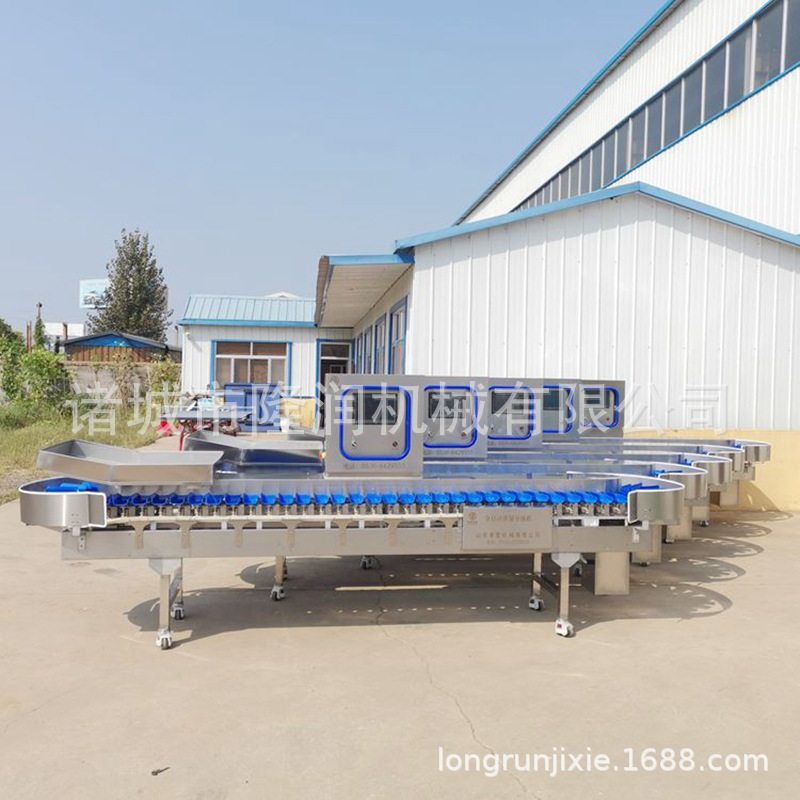 大闸蟹重量分拣机 高精度可调速 全自动鸡爪称重分选机 质保一年,清洗/食品/商业设备,选果机/分选机,淘宝优惠券,粉丝福利购,淘宝优惠卷