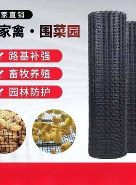 鸡网加厚鸡鸭围TYE栏塑料网养殖防网胶拦圈地养菜园护网玉米网格