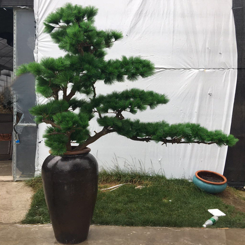 仿真迎客松树酒店摆件装饰餐厅罗汉松庭院树杆崖柏枯树客厅干树枝