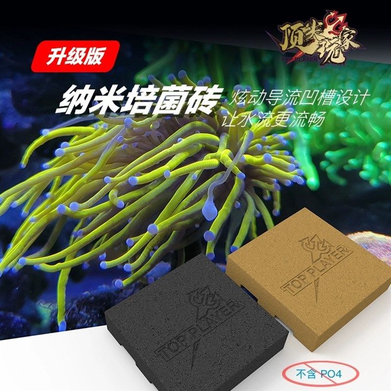 顶J玩家神砖纳米培菌砖过滤高透水淡海水鱼缸滤材硝化细菌屋无PO4