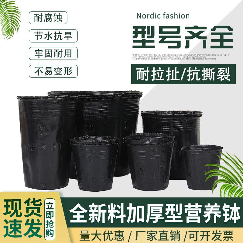 营养杯育苗杯营养钵育苗盆塑料加厚一次性农用营养袋育苗袋花盆大