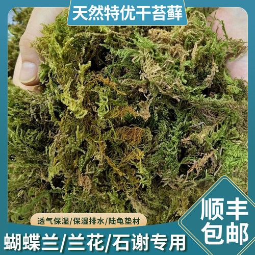 蝴蝶兰花专用营养土干苔藓青苔石斛种植水苔育苗乌龟冬眠垫材椰土
