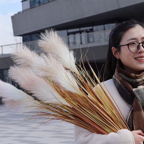 落地芦苇把束仿真绿植蒲苇草花箱商场橱窗造景庭院景观草装饰摆件
