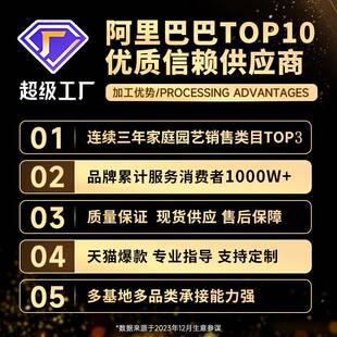 沙漠玫瑰3513545卉盆栽花花老桩花期带长四季开好养活室内花草绿