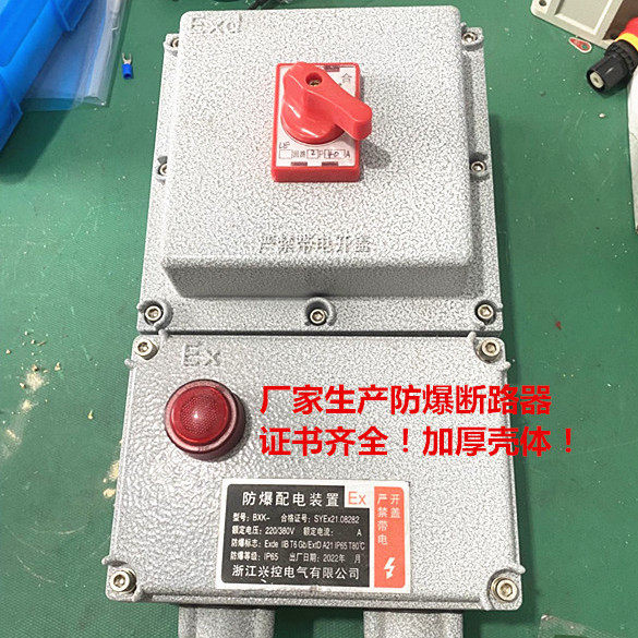 防爆断路器BDZ52 2P3P4p63A三相空开配电箱二相防爆开关漏电开关