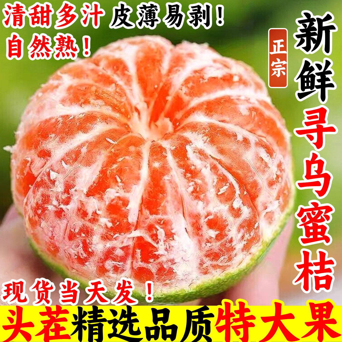 【现摘】正宗寻乌蜜桔清甜5斤12