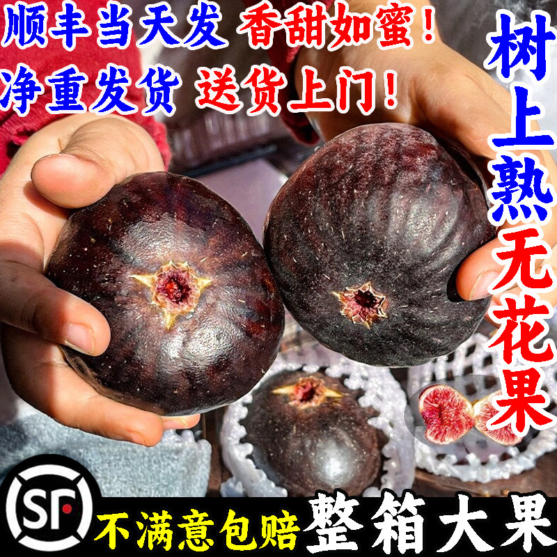 无花果新鲜水果波姬红糖包子生青皮格莱斯一级特大当季现摘现发5A