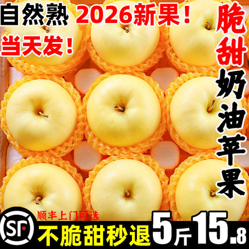 奶油富士苹果整箱5斤15.8