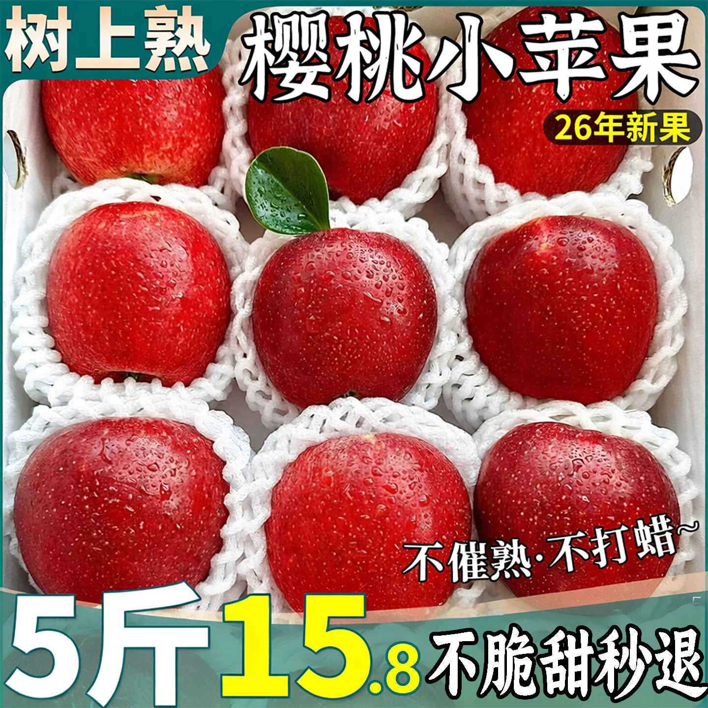 现摘樱桃小苹果整箱15.8