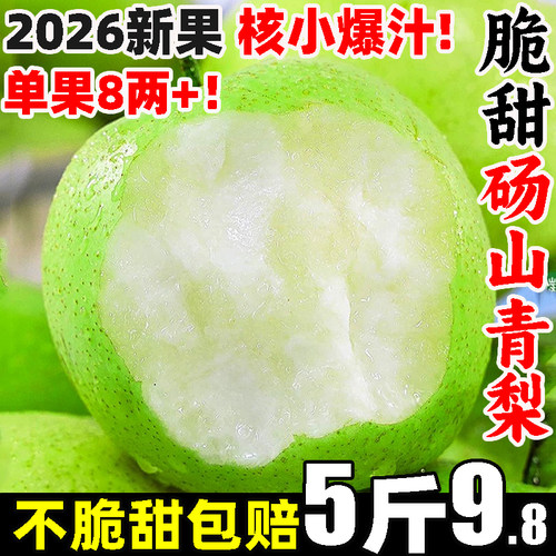 砀山直发 2026新果 现摘现发