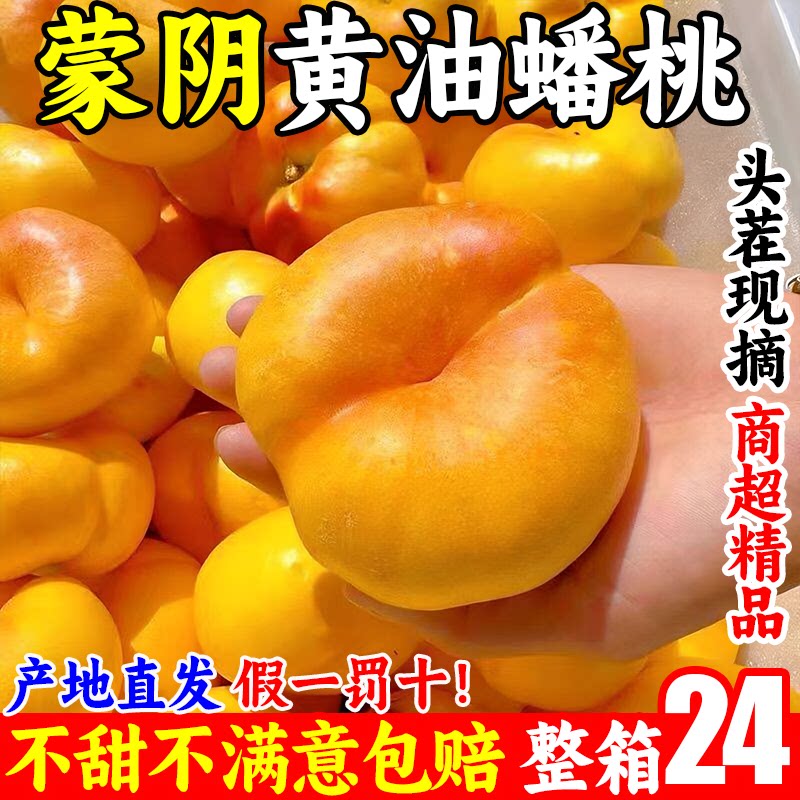 产地直发山东蒙阴黄金油蟠桃