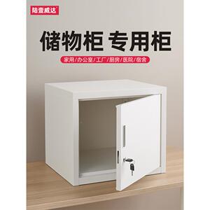 小型单专门皮柜蛋铁糕房食品LYWD-G01厂物添加剂用柜零食柜带锁挂