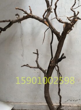 定做新款实木福榕园花卉假树枯树杈干枝装饰树干咖啡造型白色树枝